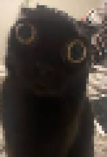 [35dc76] if you THINK insidigay is going to do something, and you dont WANT him to do that, DONT SAY IT!1!!1! either dont say it or say something different thats less worse