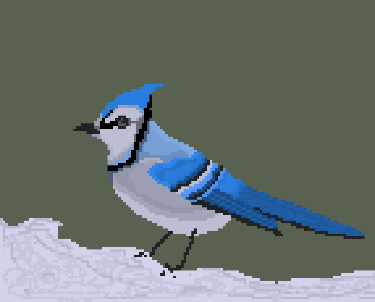 [9664c4] Blue jay