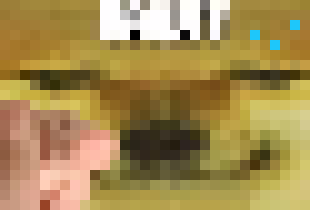 [48193a] You're a guy?! I thought you were a doge! -John