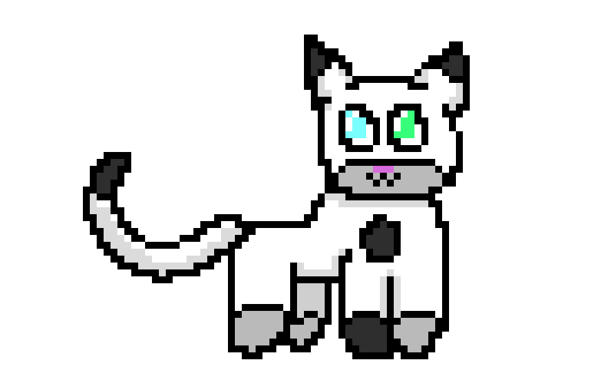 [9664c4] Meias A1 new