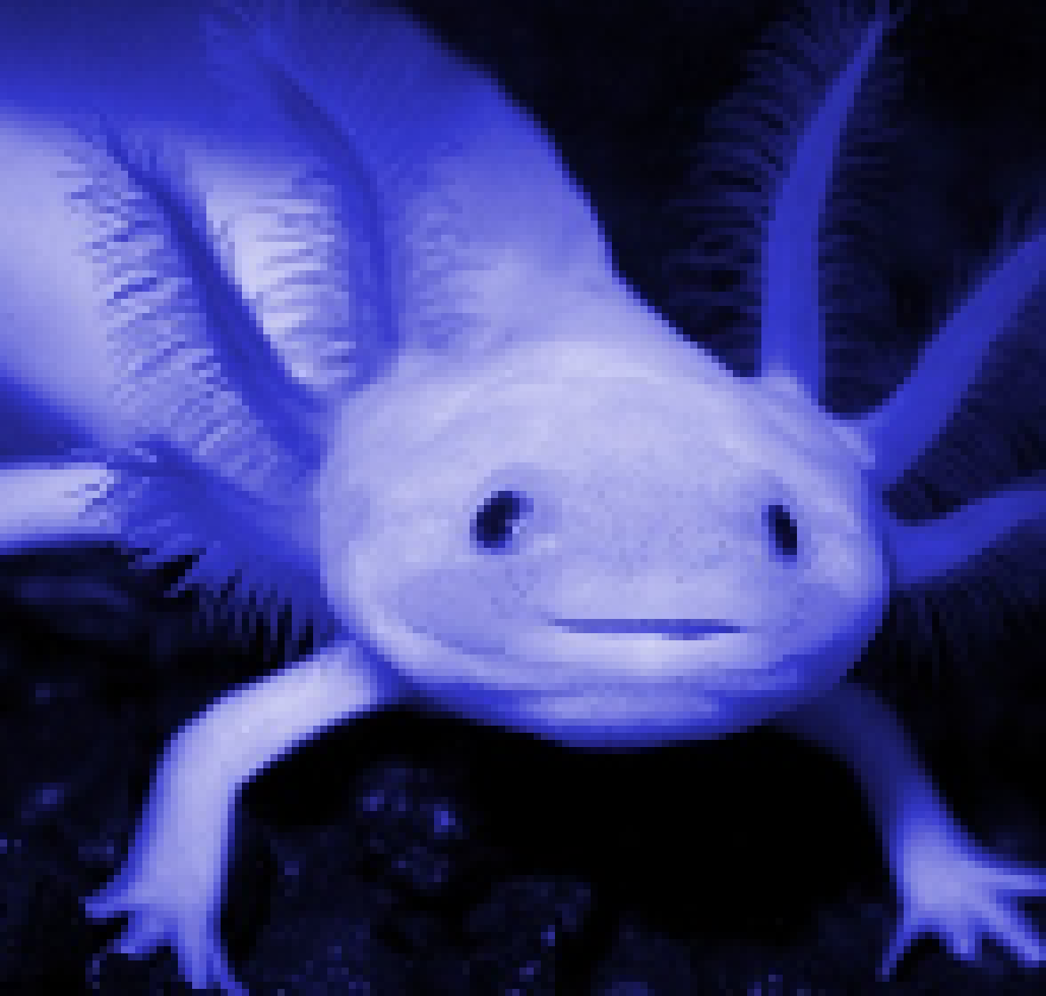 [8e9501] AW HELL NAH REAL LIFE STOLE SYKE FROM PAM BRUH I WILL SUE 