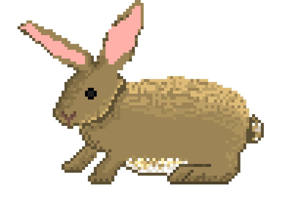 [9664c4] bunny