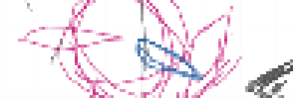 [f6241b] Wait, not to put ekun on blast, but... he made porn to...