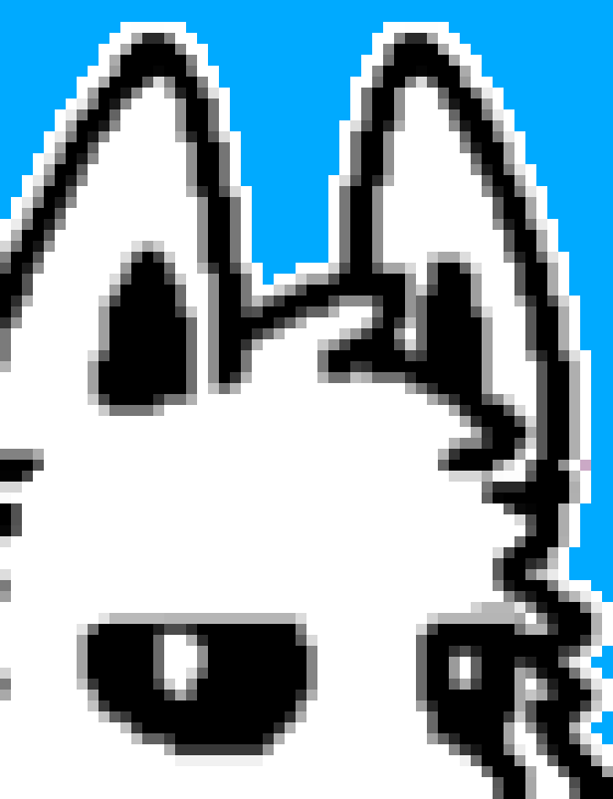 [acbc50] *the squid dog was getting tired and fell asleep*