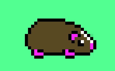 [d84304] guinea pig!