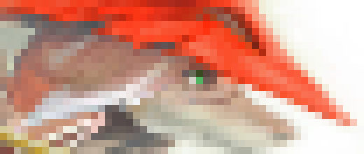 [2d9115] If anyone is awake at 11 AM... -Meepsworth