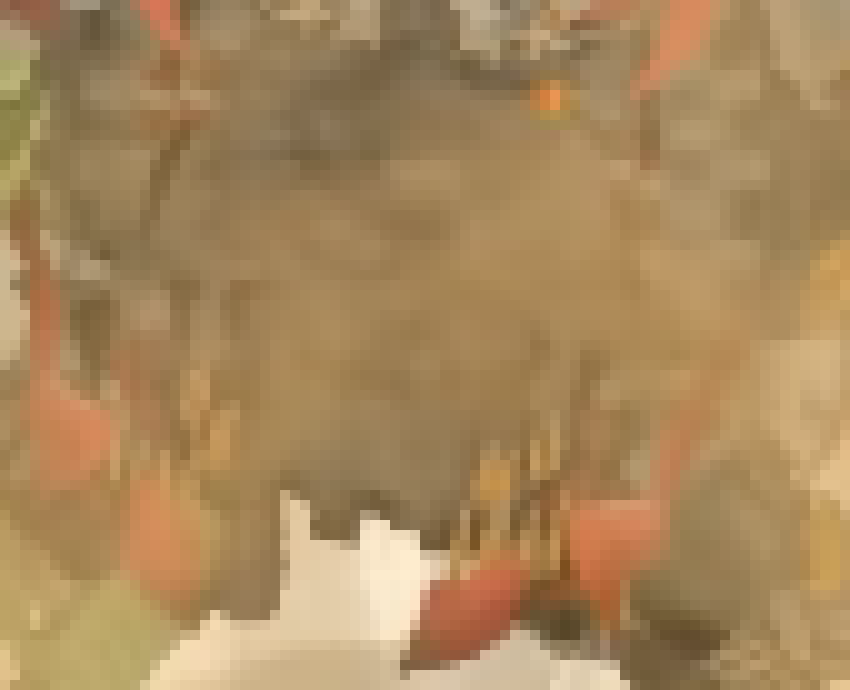 [8ebeef] ..aaaaaAAAAAAAAAAAAAAAAAAAAAAAAAAAAAAAAAAAAAAAAAAAAAAAAAAAAAAAAAAAAAAA