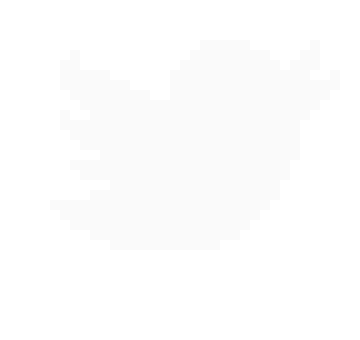 [d9f5fd] Twitter white pixel