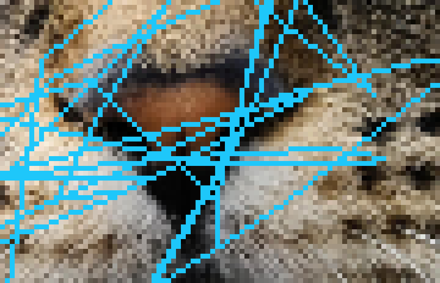 [f85aa2] I'm back -axolotl