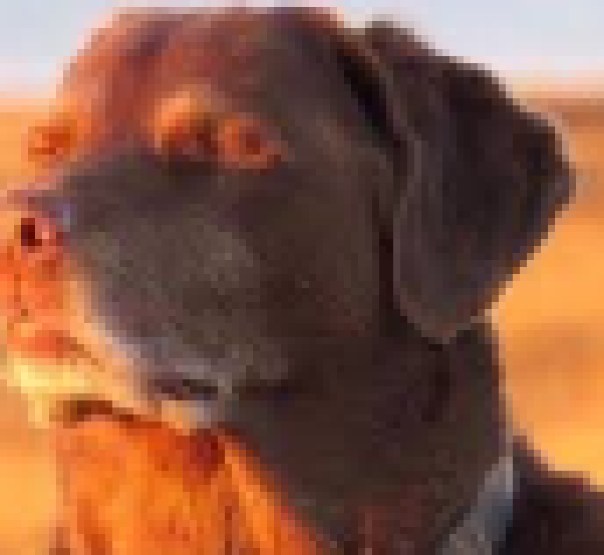 [63ea65] but anyway i think they'd fit cause if if we're going with mix being nolan then y'know. stick figures and whatno