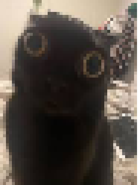 [35dc76] that sprite took so long to make 😭