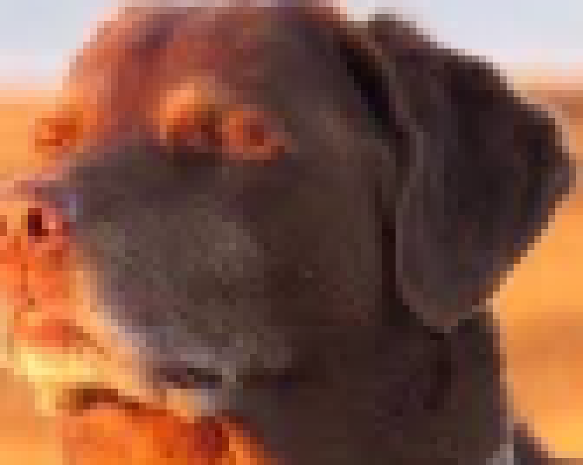 [27c958] general unessecary hatred and incompetence rather than an actual conversation. typical.