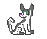 [9664c4] Dog Adopt Template