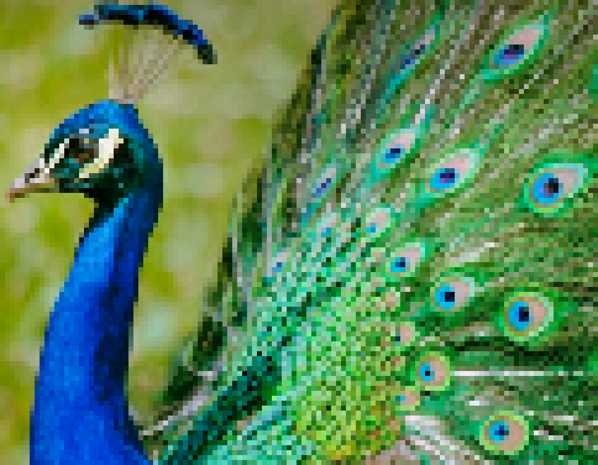 [acbc50] *slowly walking away*