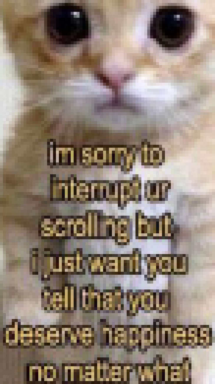 [c91422] *Wholesome meme*