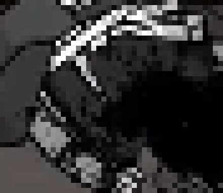 [082edb] or meat. coconut meat