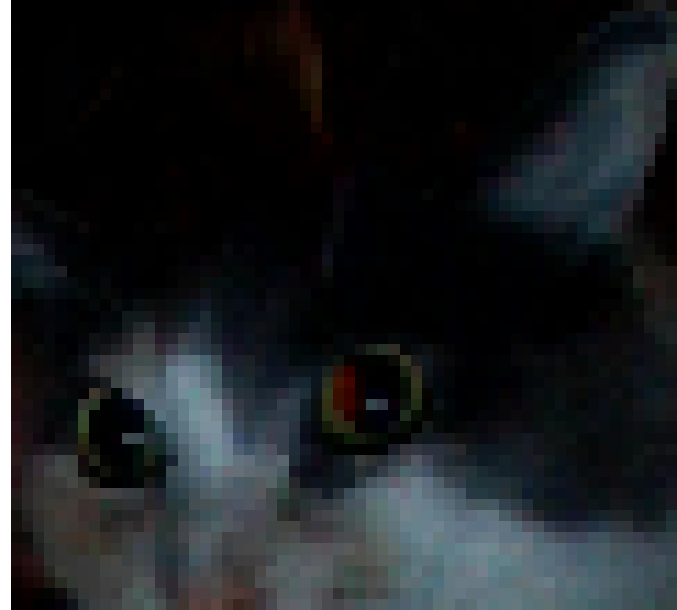 [4fbda4] here is lily... she so cute- Evan