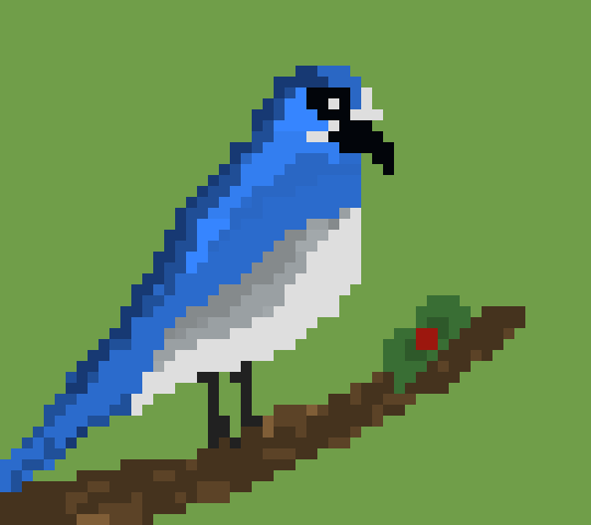 [9664c4] blue jay