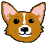 [9664c4] corgi