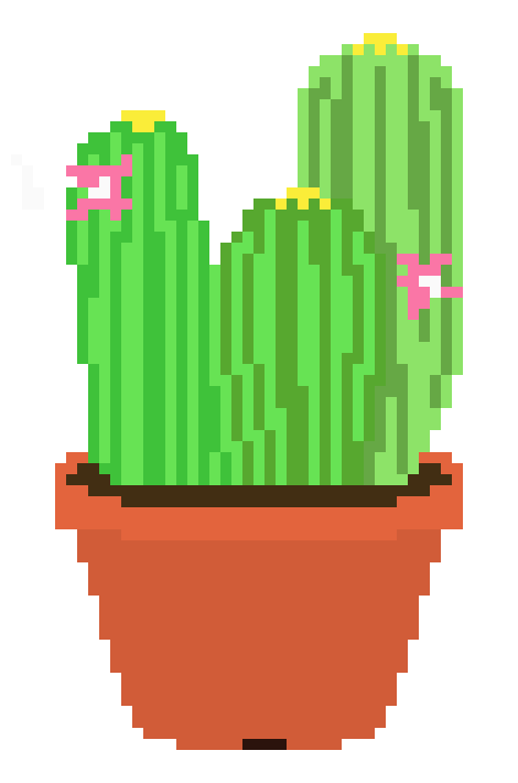 [9664c4] Cacty Cactus