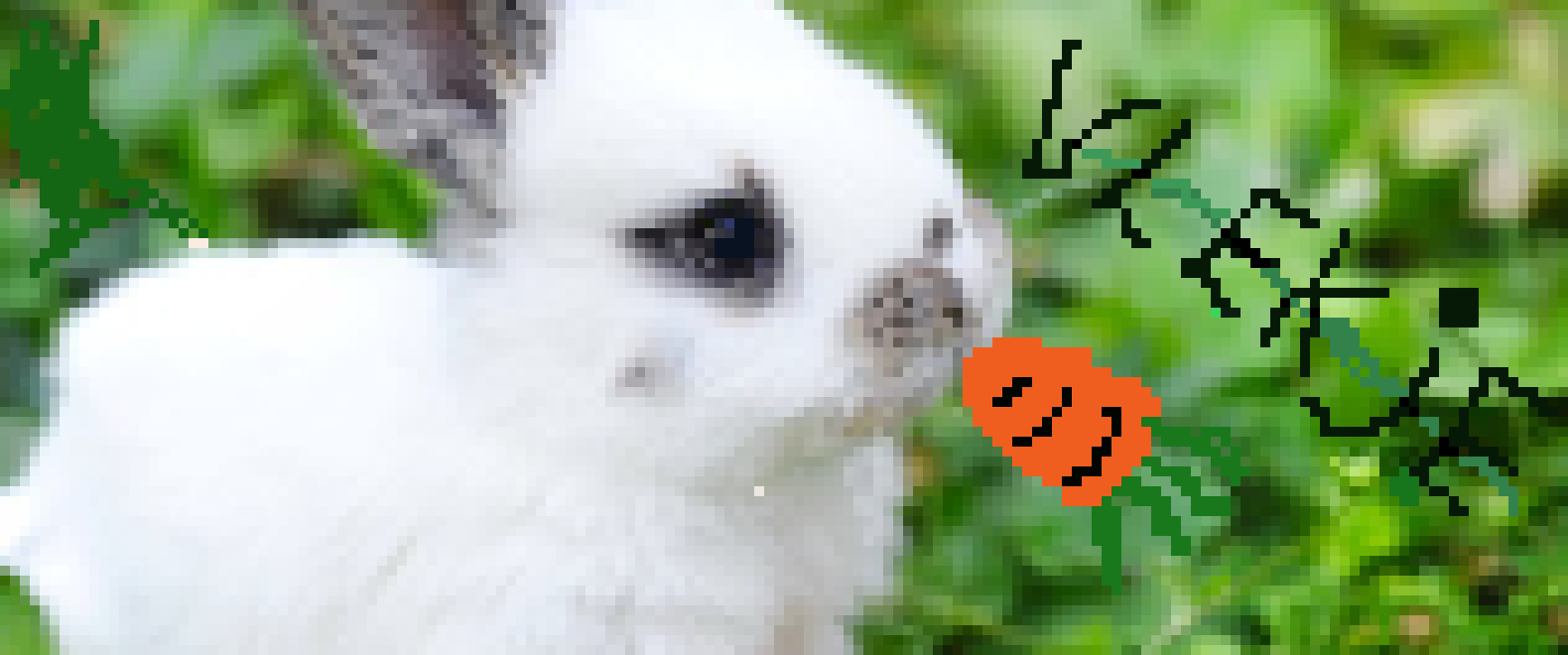 [56228f] Marjolein pixelart