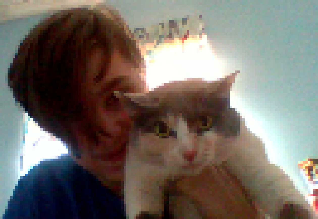 [5fd880] lily, she is grey, white and has tiny areas of orange, the orange is not that big on her