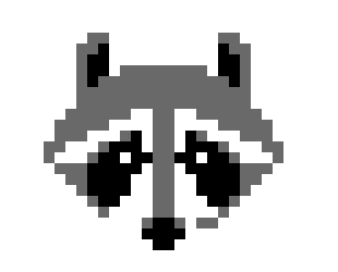 [663877] raccoon