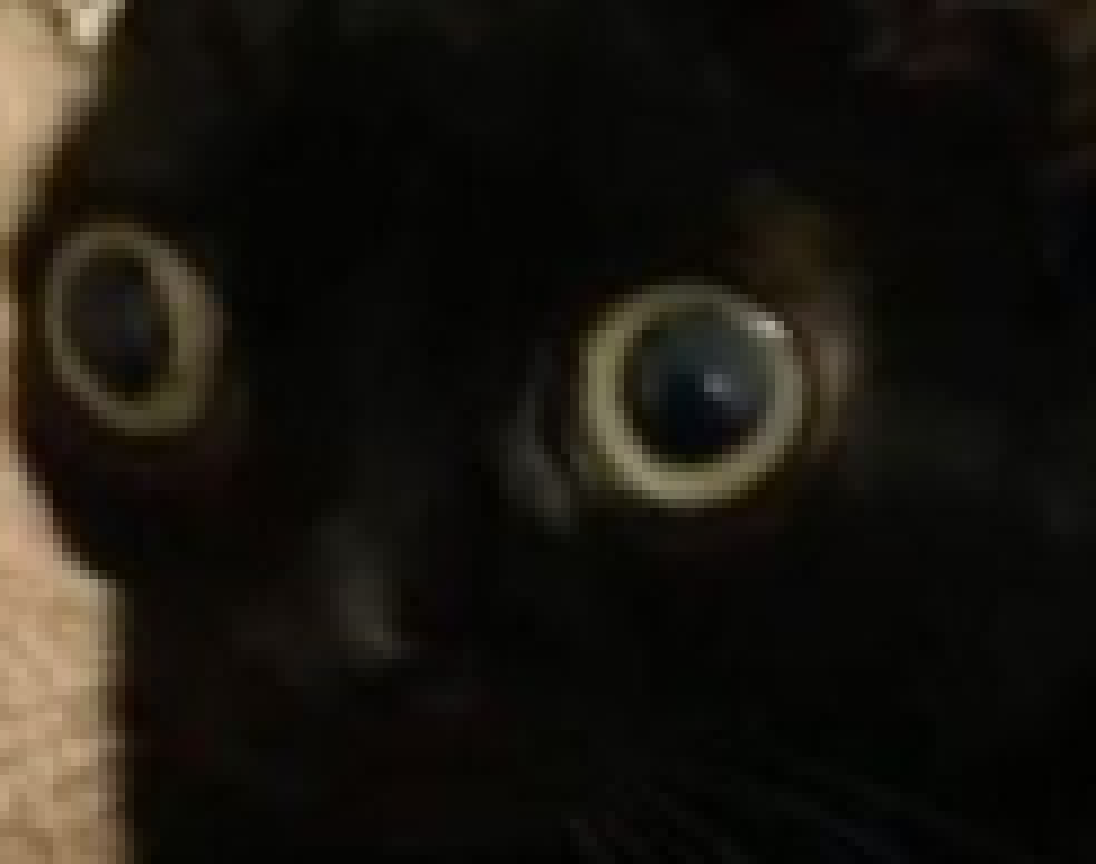 [a56108] Nuh uh *Takes your femur and skedaddles*