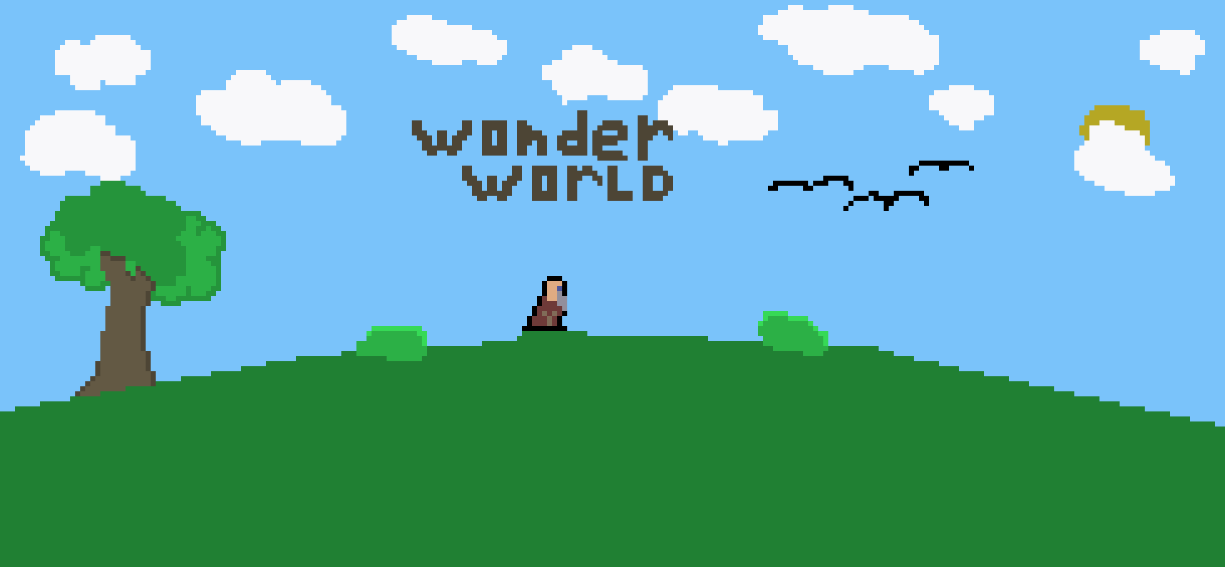[9664c4] Wonder World