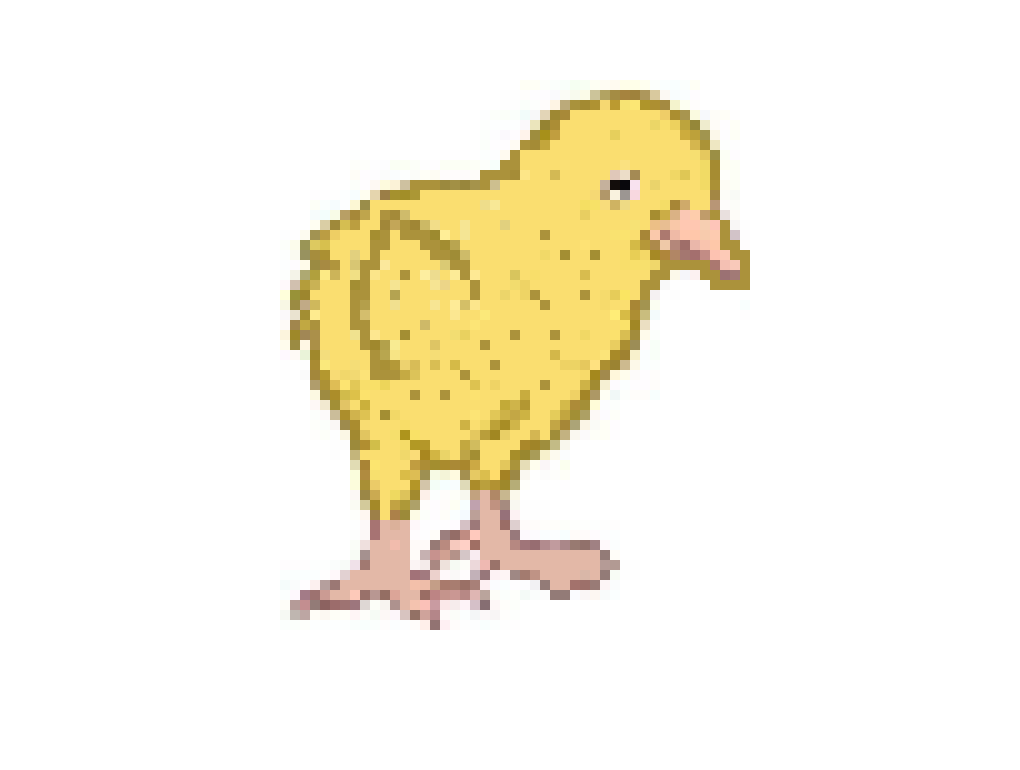 [8fa814] chicken