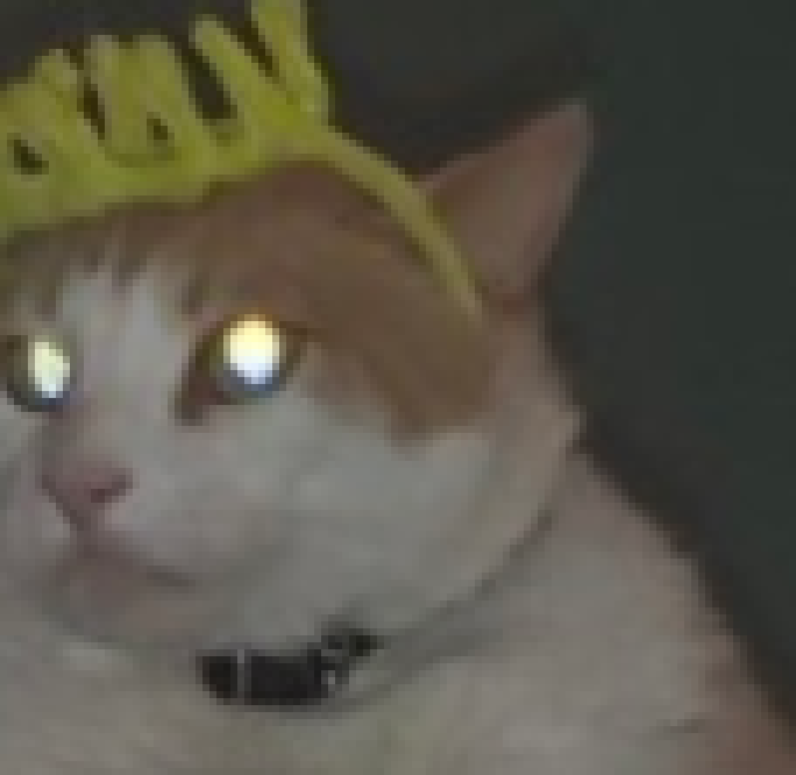 [d0027a] ...-King George