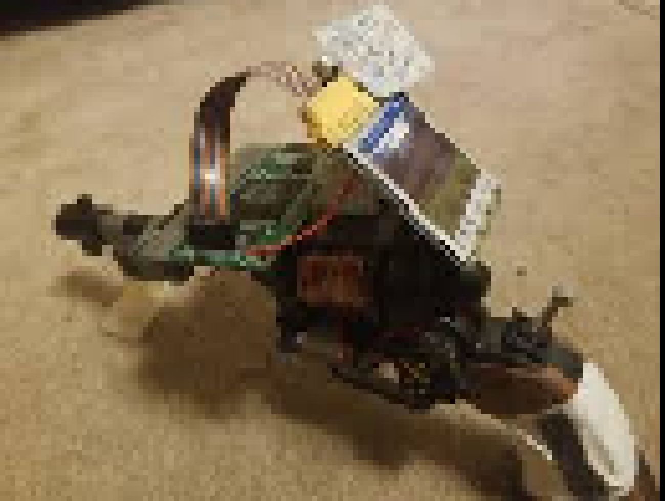 [4ecaa1] sooo guys I did a lil somethin