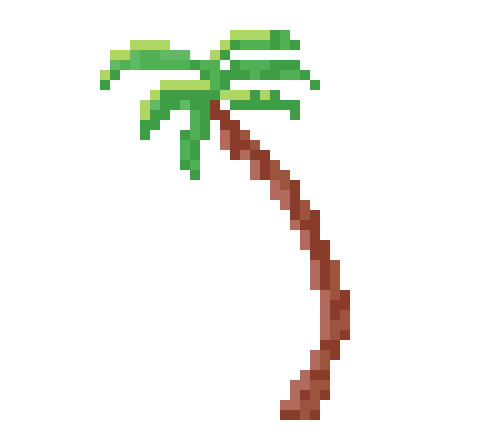 [572b6e] vrai cocotier