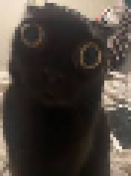 [35dc76] this keeps happening.,,.