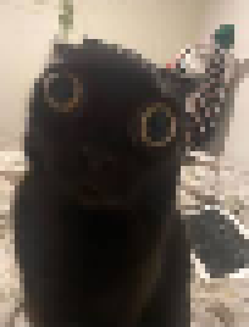 [35dc76] i need distraction