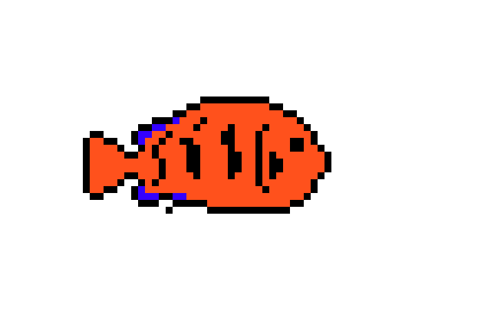 [9664c4] Flame Angelfish