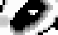 [98772d] now isn`t the time, ian...