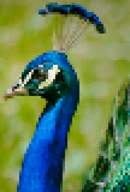 [acbc50] *jumps onto the ground*