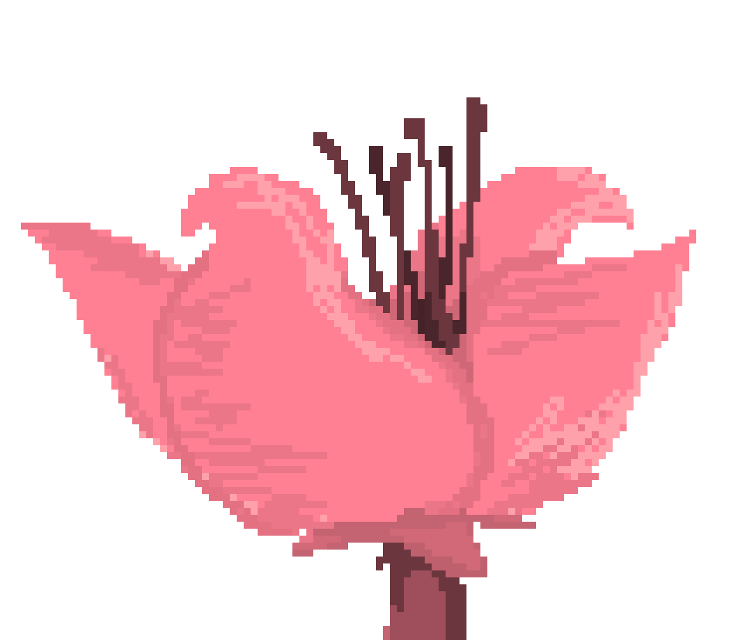 [8048ed] broo i'm gonna Collapse