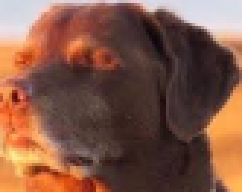 [c6658f] GOKU IS NOT AN OC NIGGA