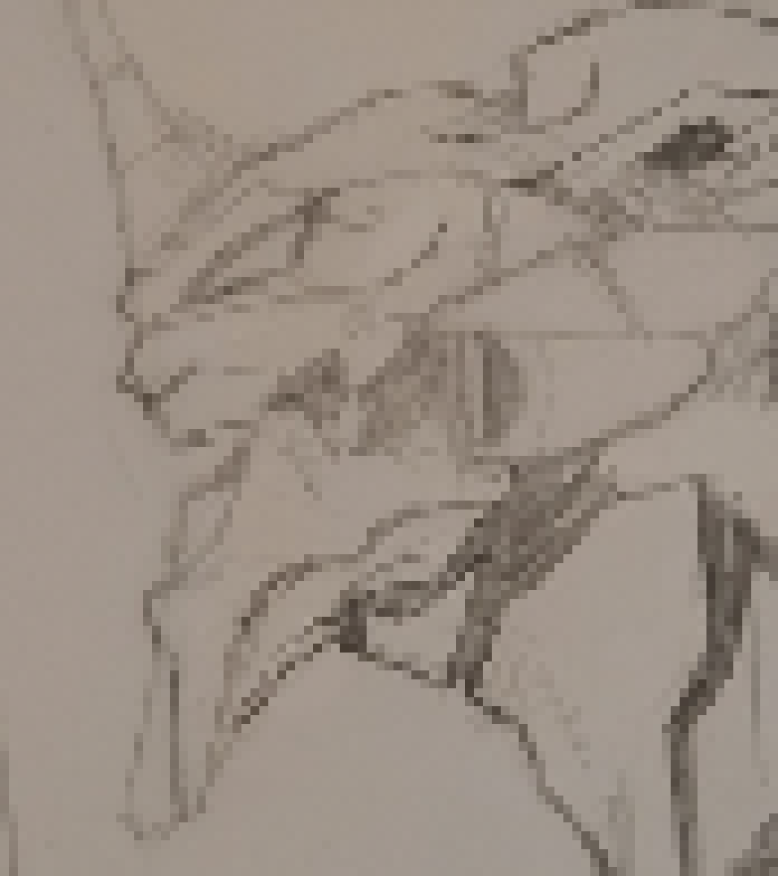 [1cf99b] Draw Free De la Hoya.,.,.,,