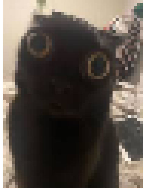 [35dc76] jimmy i think we reflect eachothers characters