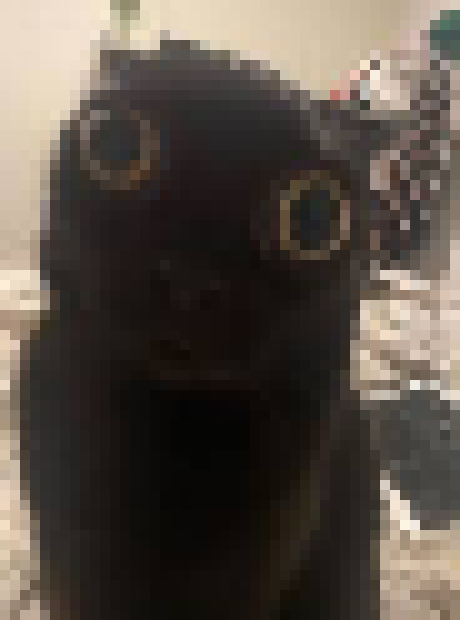 [35dc76] rip bro, died of heart attack