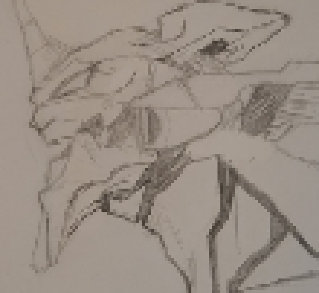 [1cf99b] Also chat i am killing myself after i'm done with this- it's so hard to make my god-