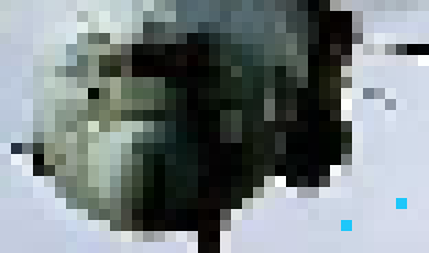 [842b2e] Try and get the full auto barrel for it, then you'll shred. 