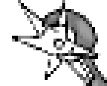 [3fcaee] yah old times terrie we are ether dumb or are too lazy to go to a diffrent channel or both or something else  -Drone