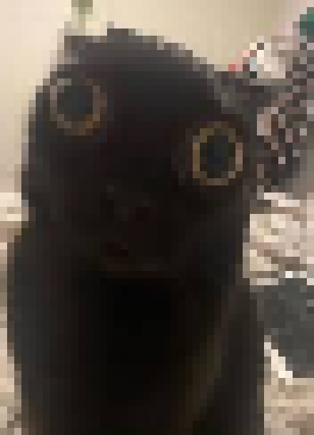 [35dc76] r rauRA RUAGH ugh RA raughh uh rhg REAUHGRAUHGRHGH UGRHA hraugh GHURAHUGHAEUHRAUHGH