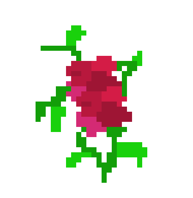 [9664c4] berries large bunch