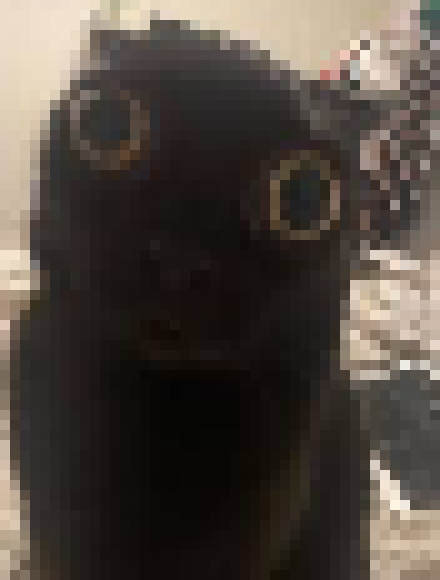 [35dc76] but i need eep,,.,..,