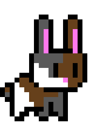 [9664c4]  bunny explorer mixed bunny
